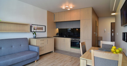 Mieszkanie Wynajem Kraków Śródmieście al.&nbsp;29 Listopada